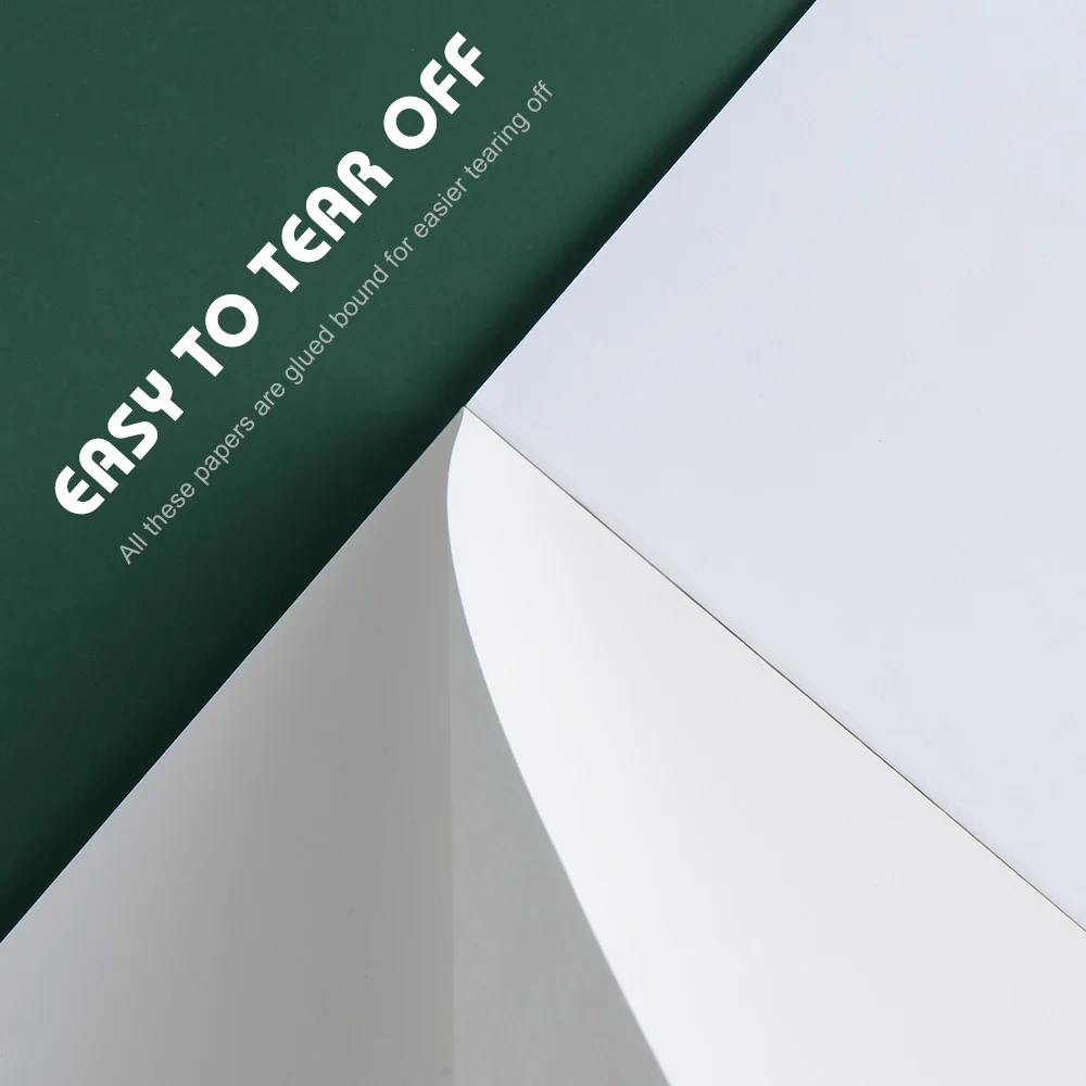 Art Sketch Drawing Canvas