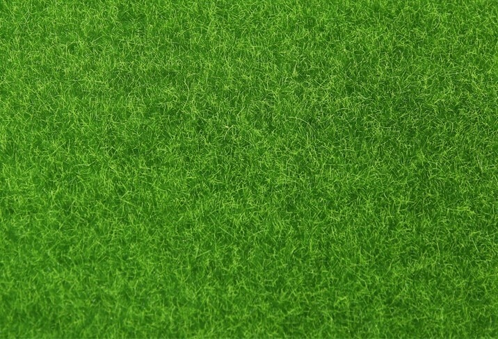 Artificial Moss Lawn Grass